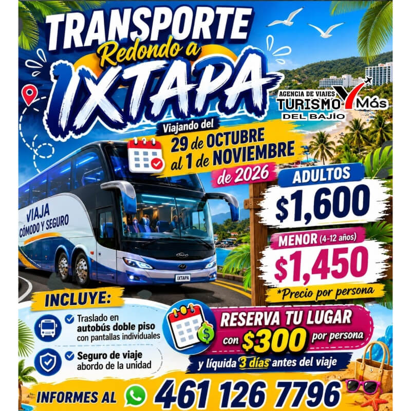 Transporte Redondo a Ixtapa: ¡Viaja Cómodo con Pantallas Individuales!